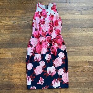 Enfocus Studio Pink and Navy Floral Midi Dress